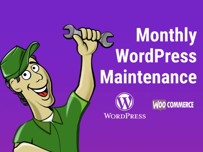 Monthly WordPress management & support